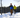 Glide into Adventure: Why Skin Skis Shine on Fat Bike Trails!